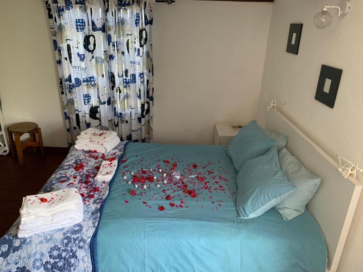 Adega Guest House ออร์ตา ภายนอก รูปภาพ